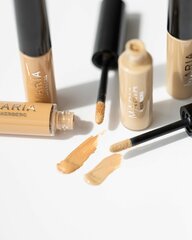 CONCEALER