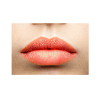 LIPPENSTIFT BLOSSOM MARIA AKERBERG