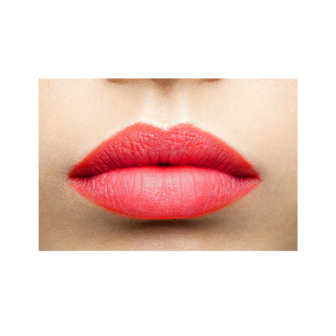 LIP CARE COLOUR ICON MARIA AKERBERG 