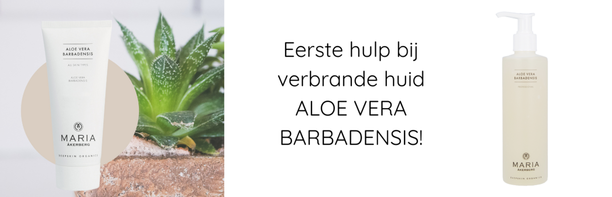 EERSTE-HULP